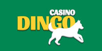 Dingo-casino