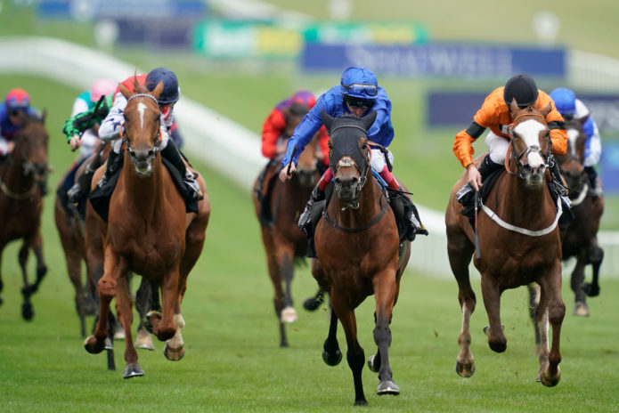 horse racing betting سباق الخيل